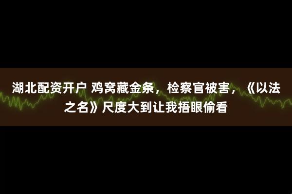 湖北配资开户 鸡窝藏金条，检察官被害，《以法之名》尺度大到让我捂眼偷看