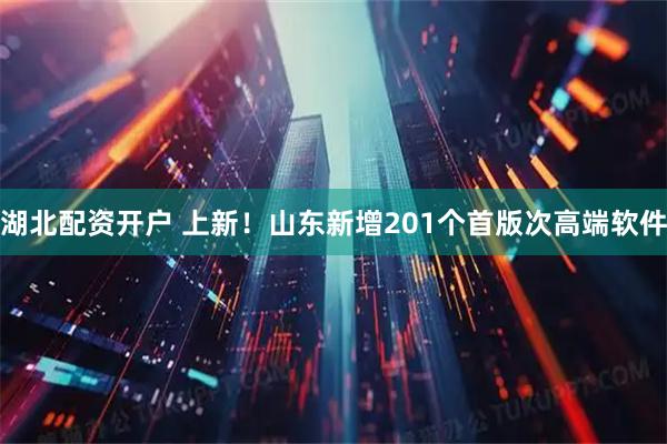 湖北配资开户 上新！山东新增201个首版次高端软件