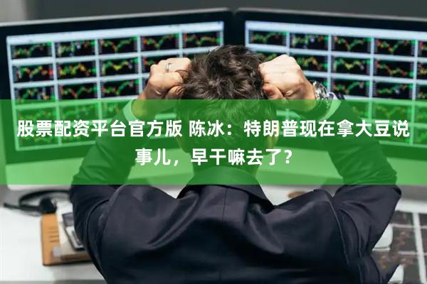 股票配资平台官方版 陈冰：特朗普现在拿大豆说事儿，早干嘛去了？
