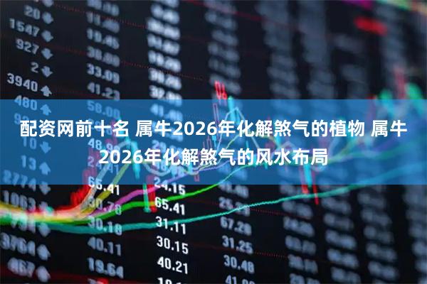 配资网前十名 属牛2026年化解煞气的植物 属牛2026年化解煞气的风水布局